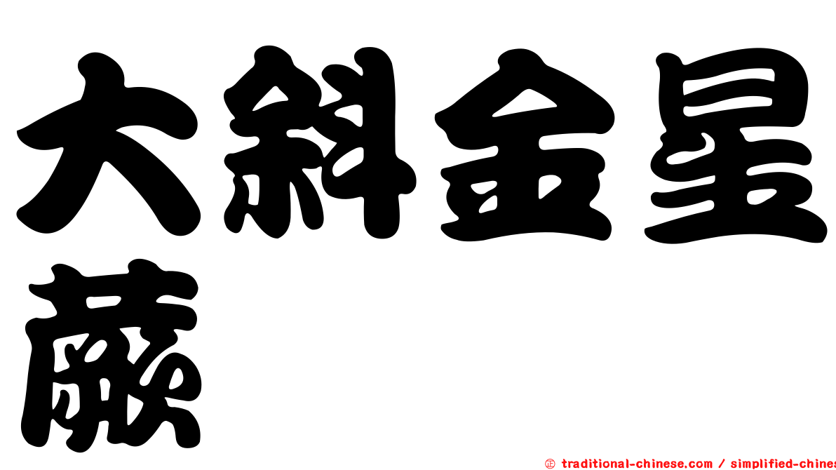 大斜金星蕨