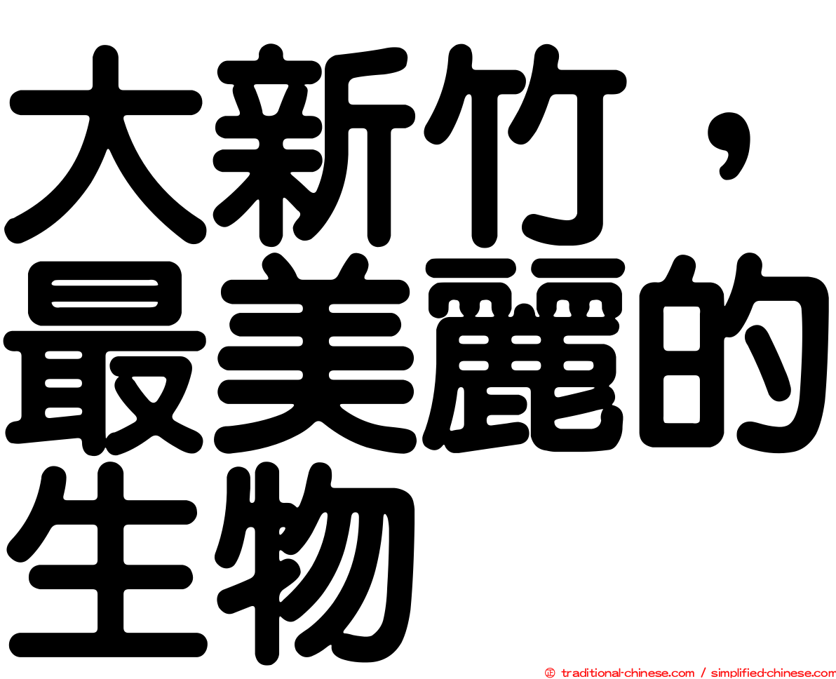 大新竹，最美麗的生物