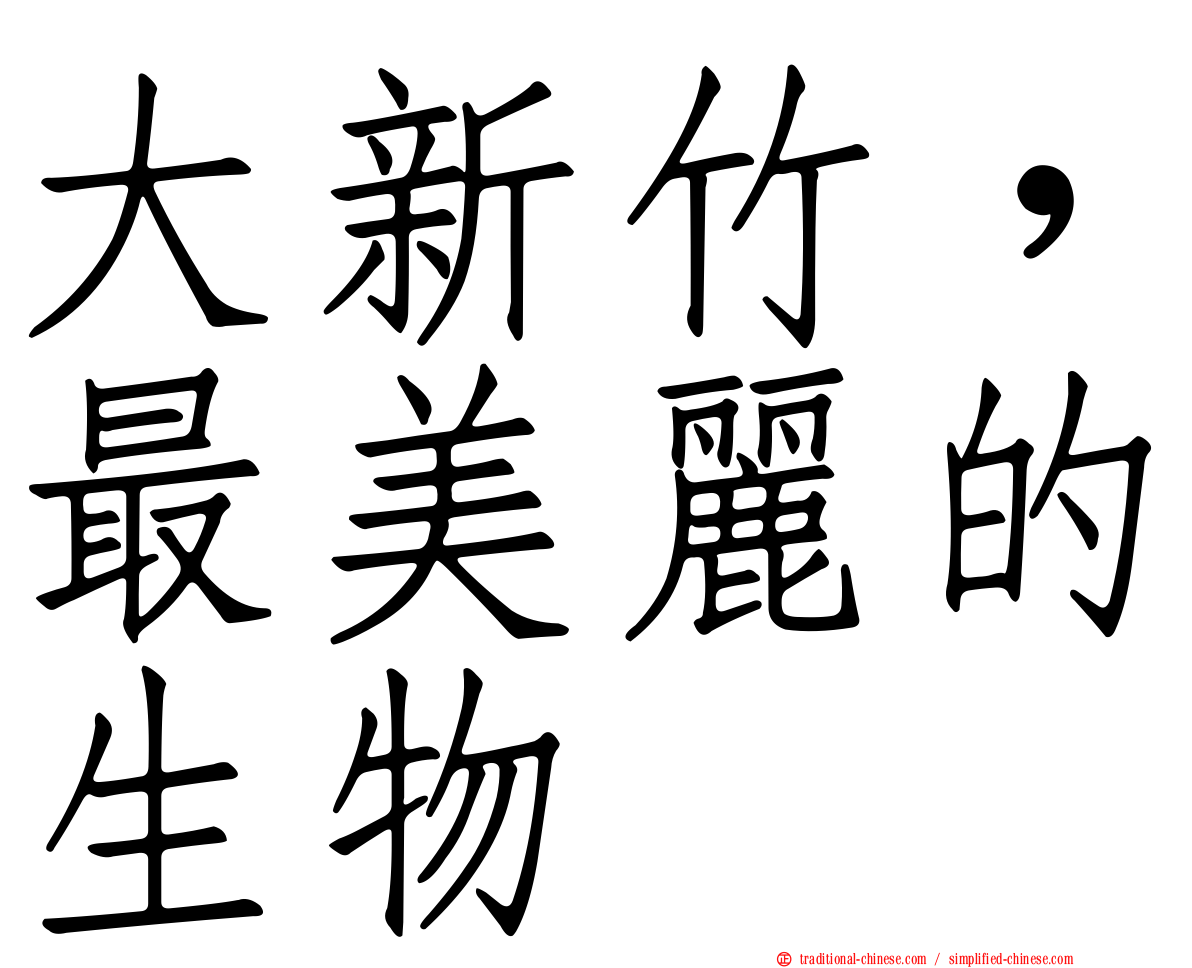 大新竹，最美麗的生物