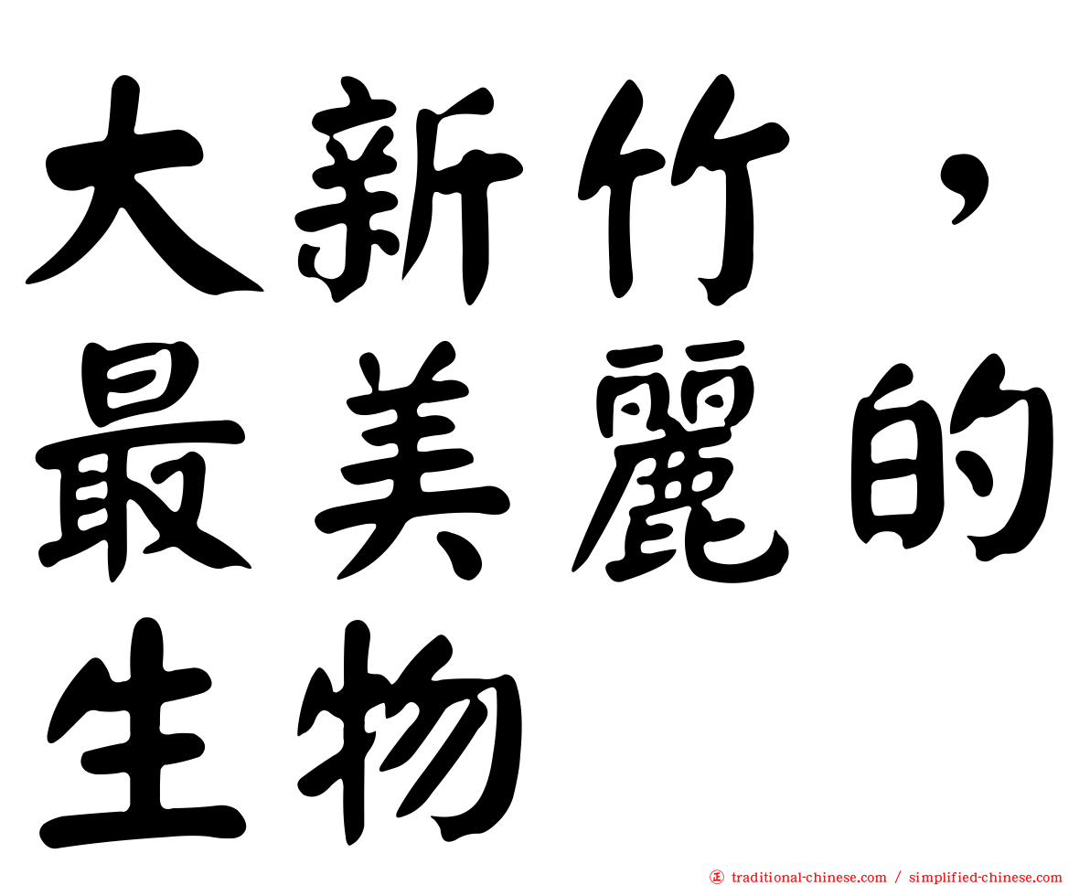 大新竹，最美麗的生物