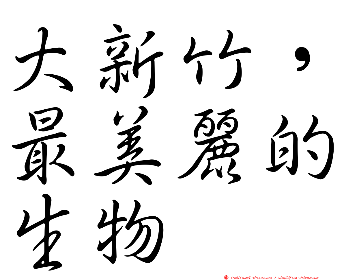 大新竹，最美麗的生物