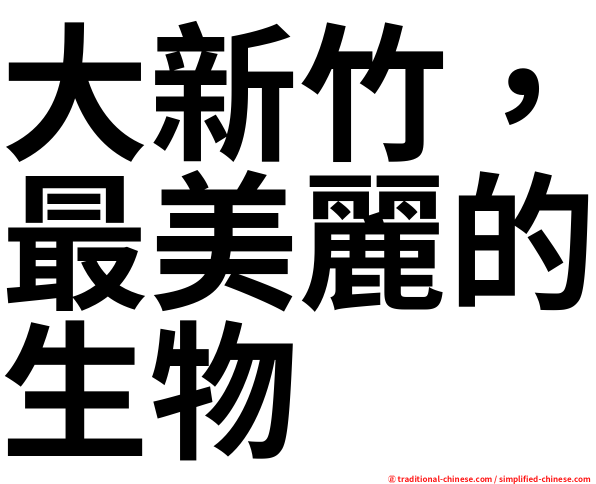 大新竹，最美麗的生物