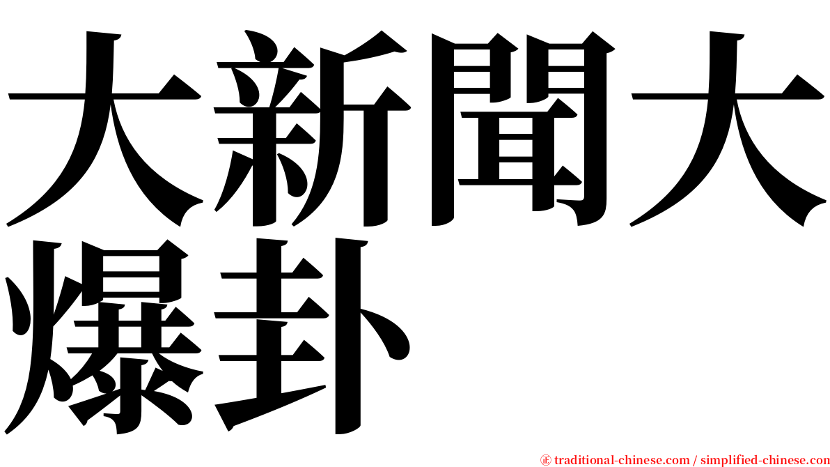 大新聞大爆卦 serif font