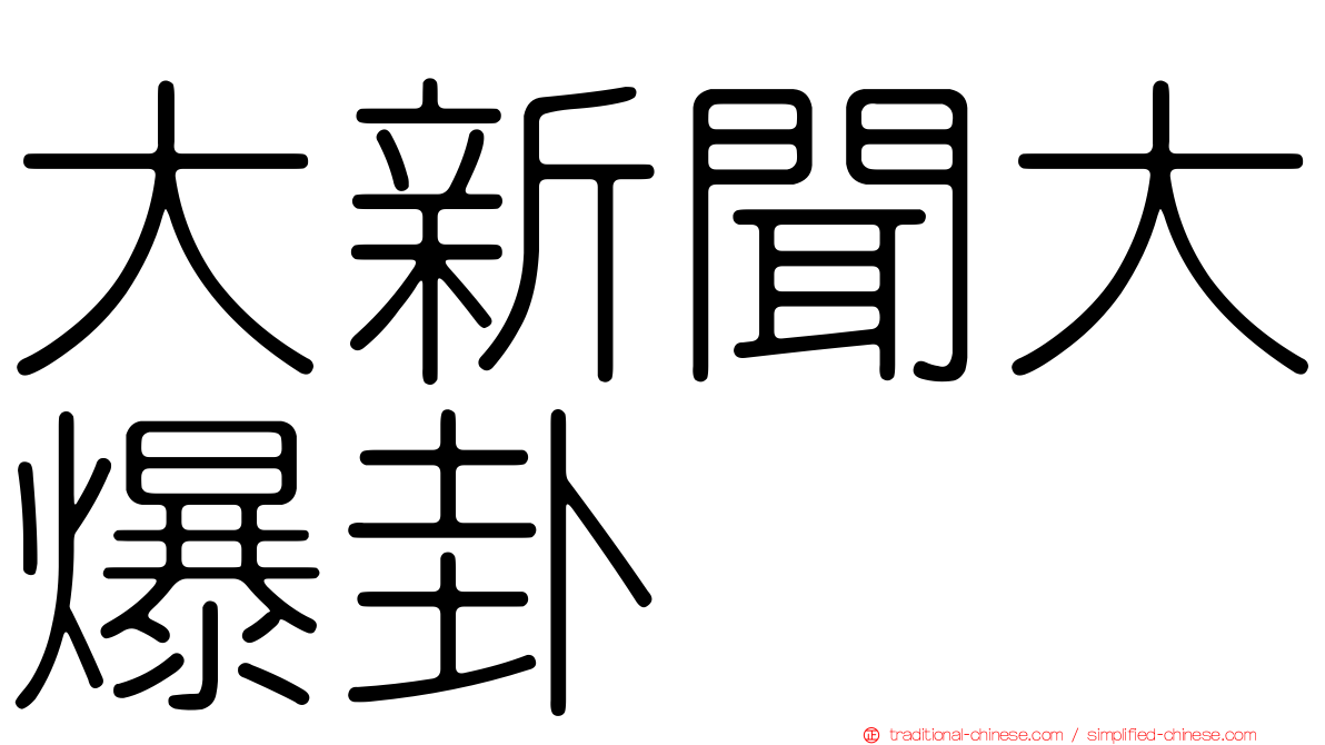 大新聞大爆卦