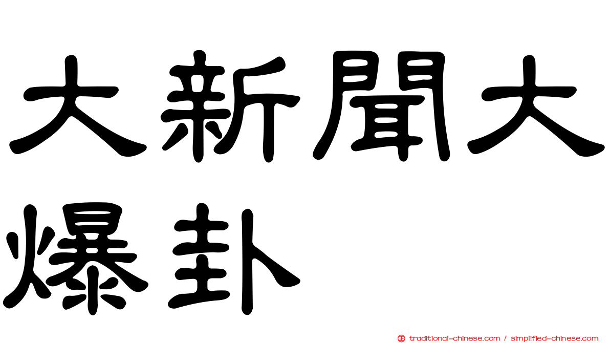大新聞大爆卦