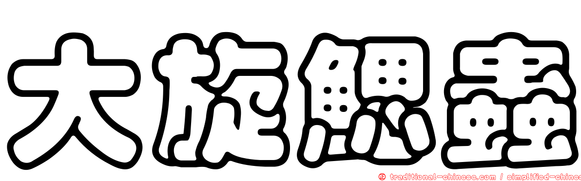 大旋鰓蟲