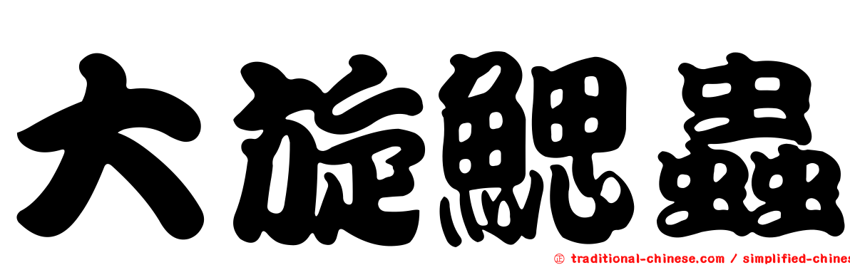 大旋鰓蟲