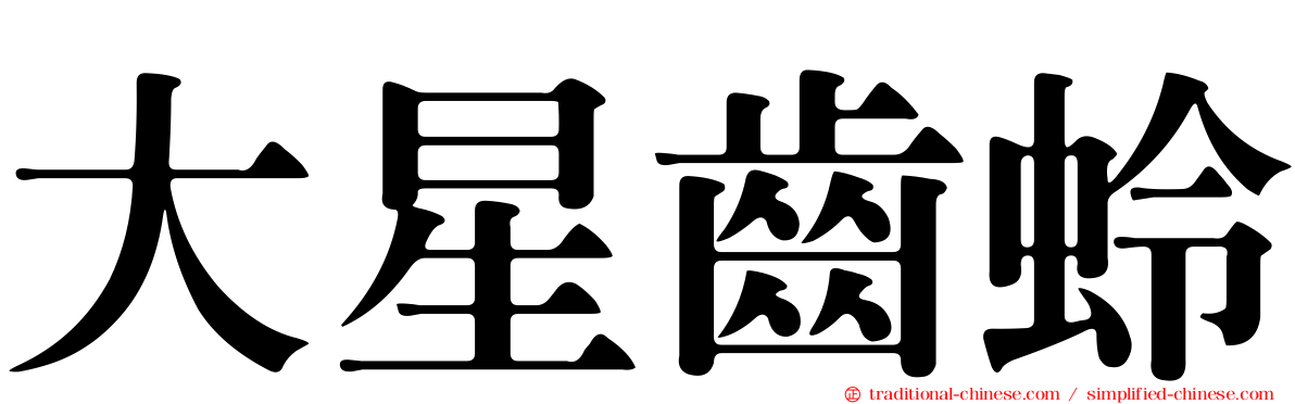 大星齒蛉