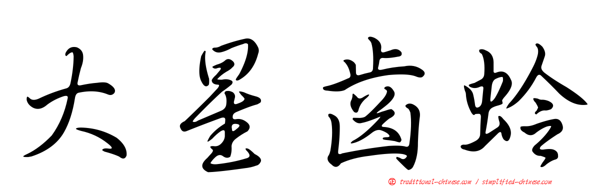 大星齒蛉