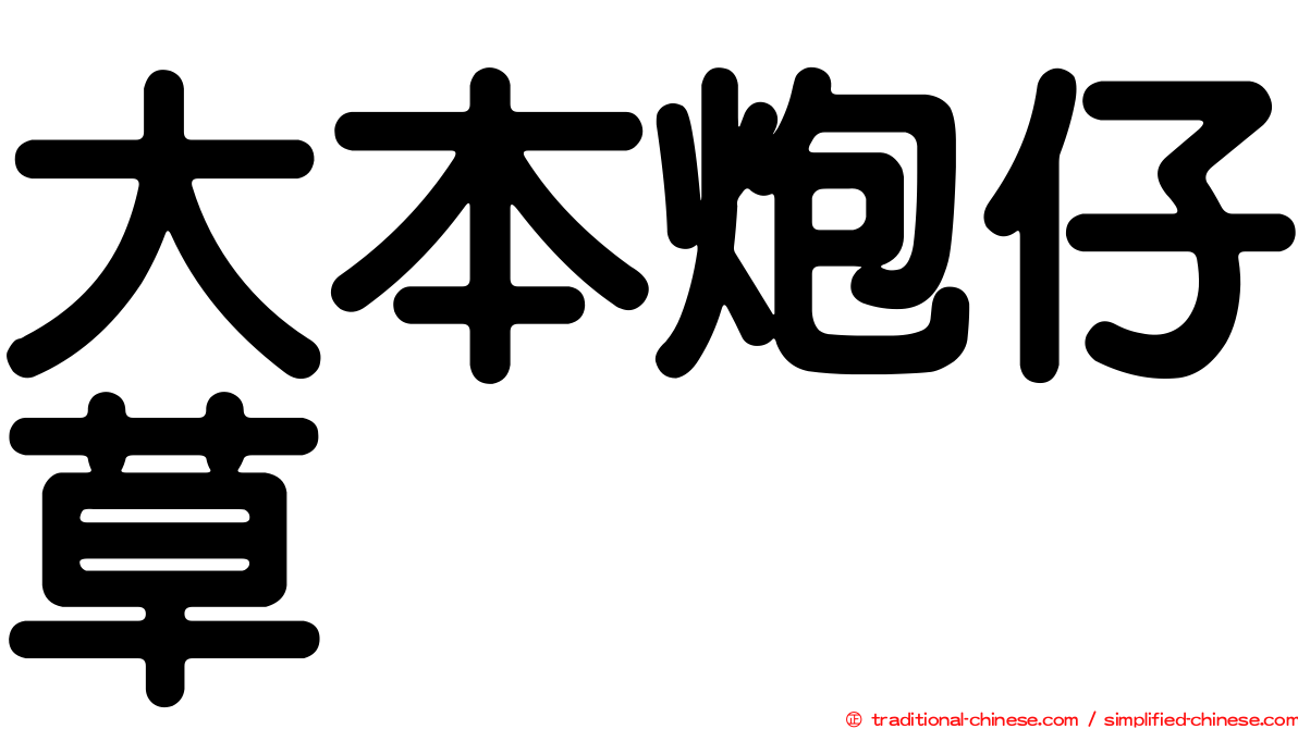 大本炮仔草
