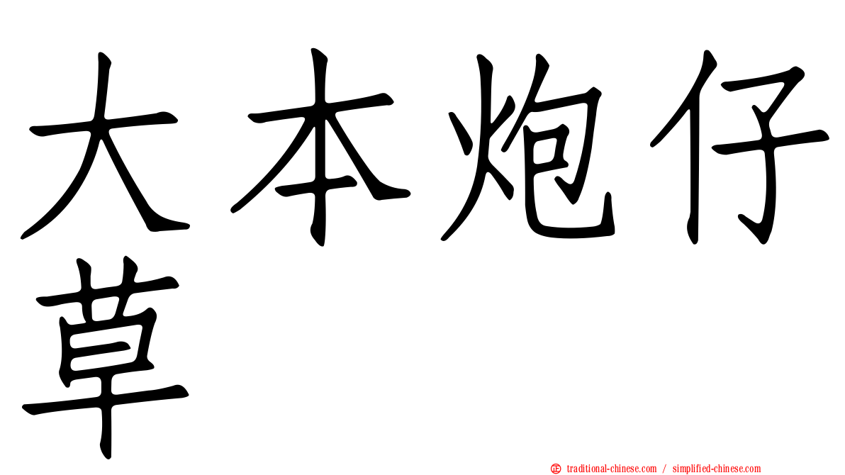 大本炮仔草