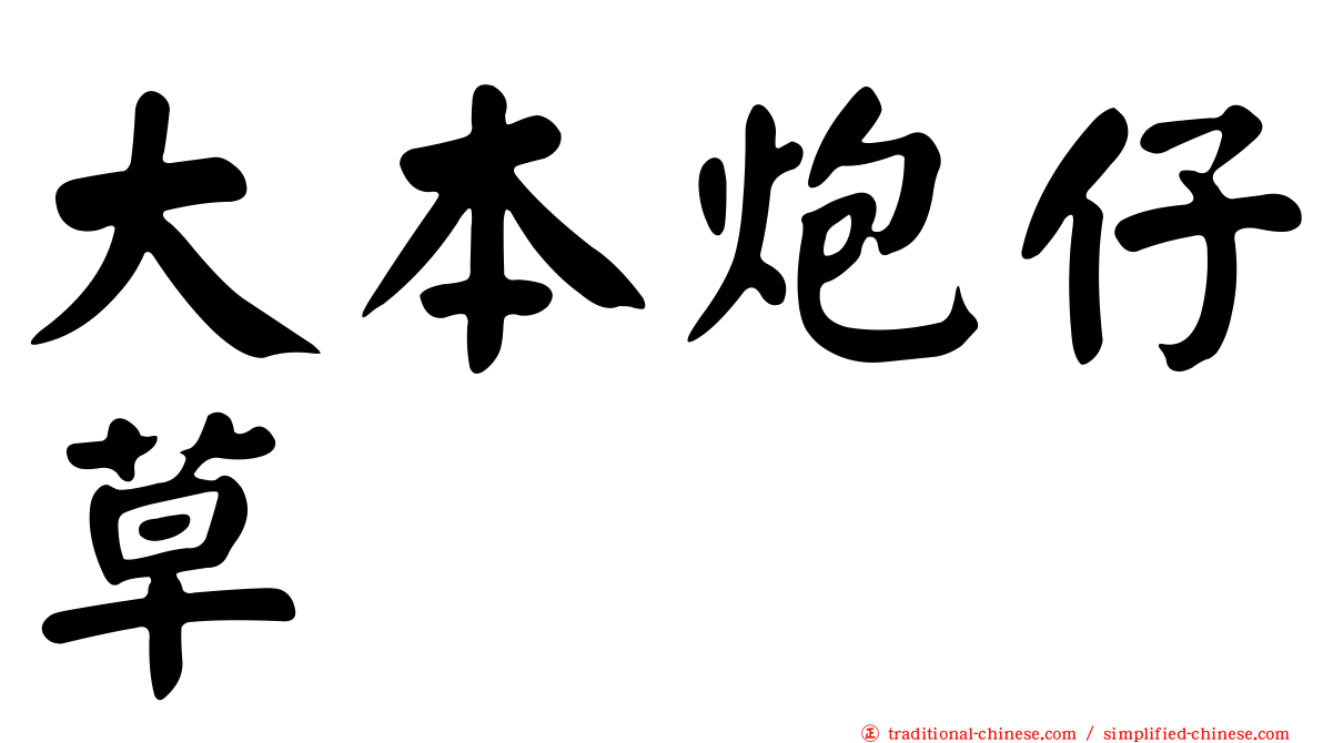 大本炮仔草
