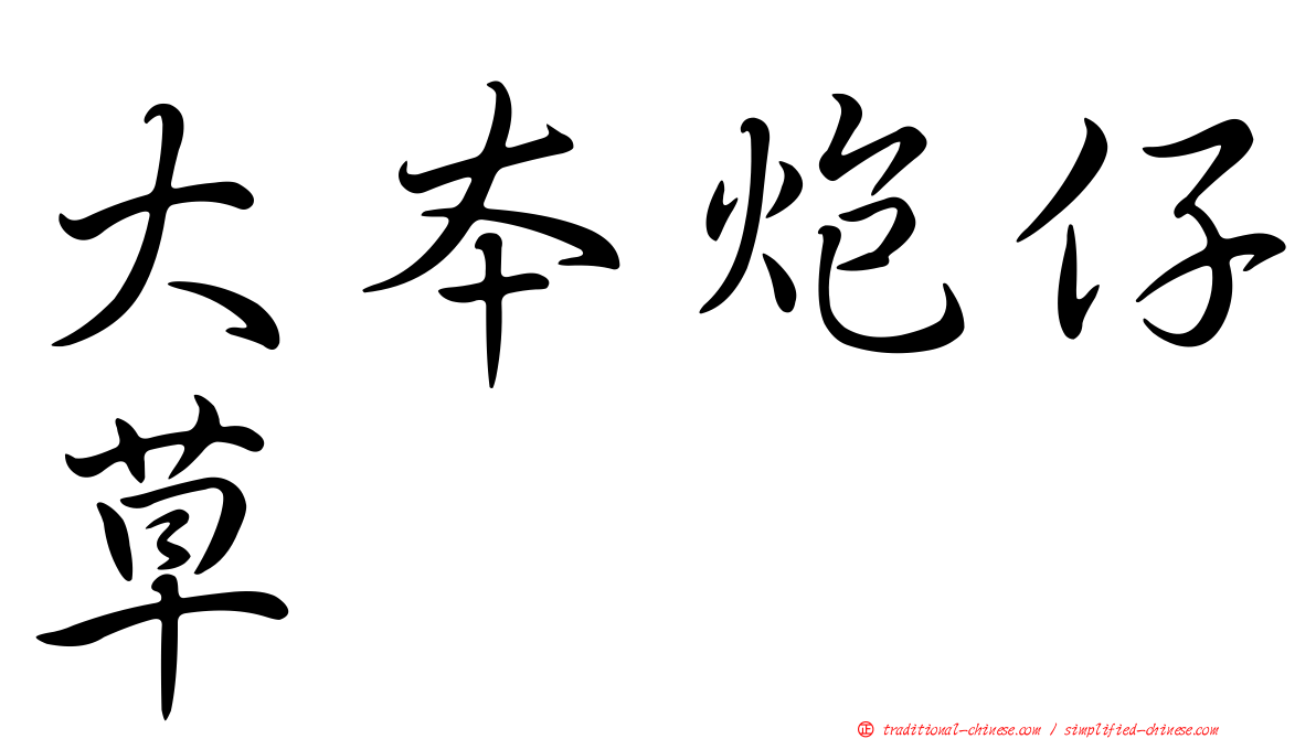 大本炮仔草