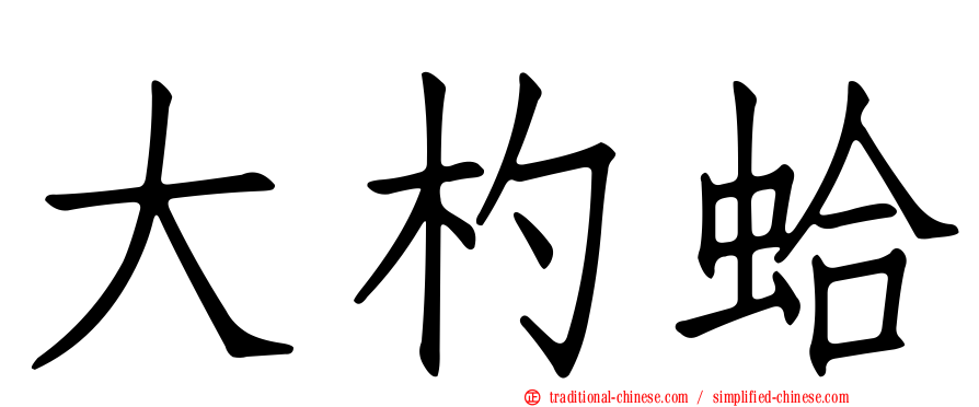 大杓蛤