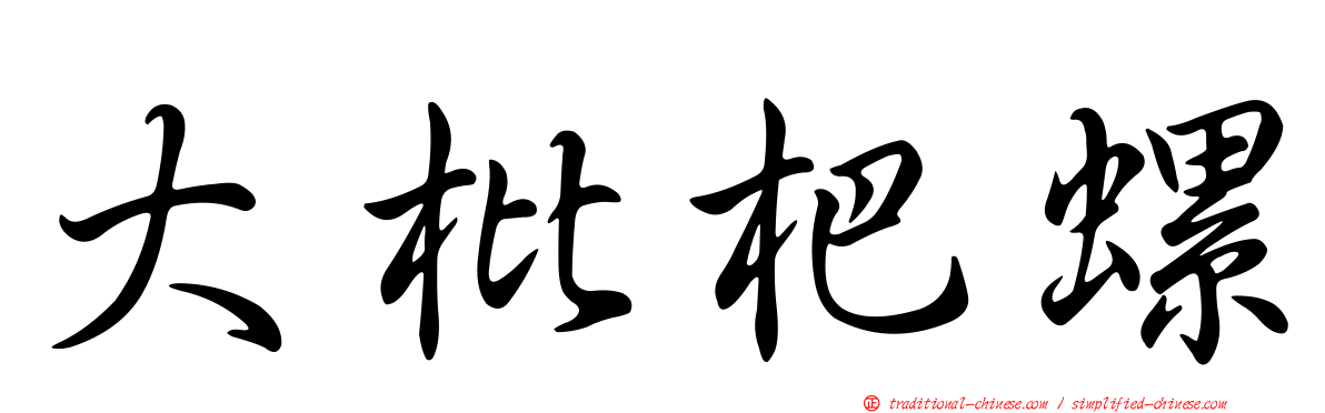 大枇杷螺