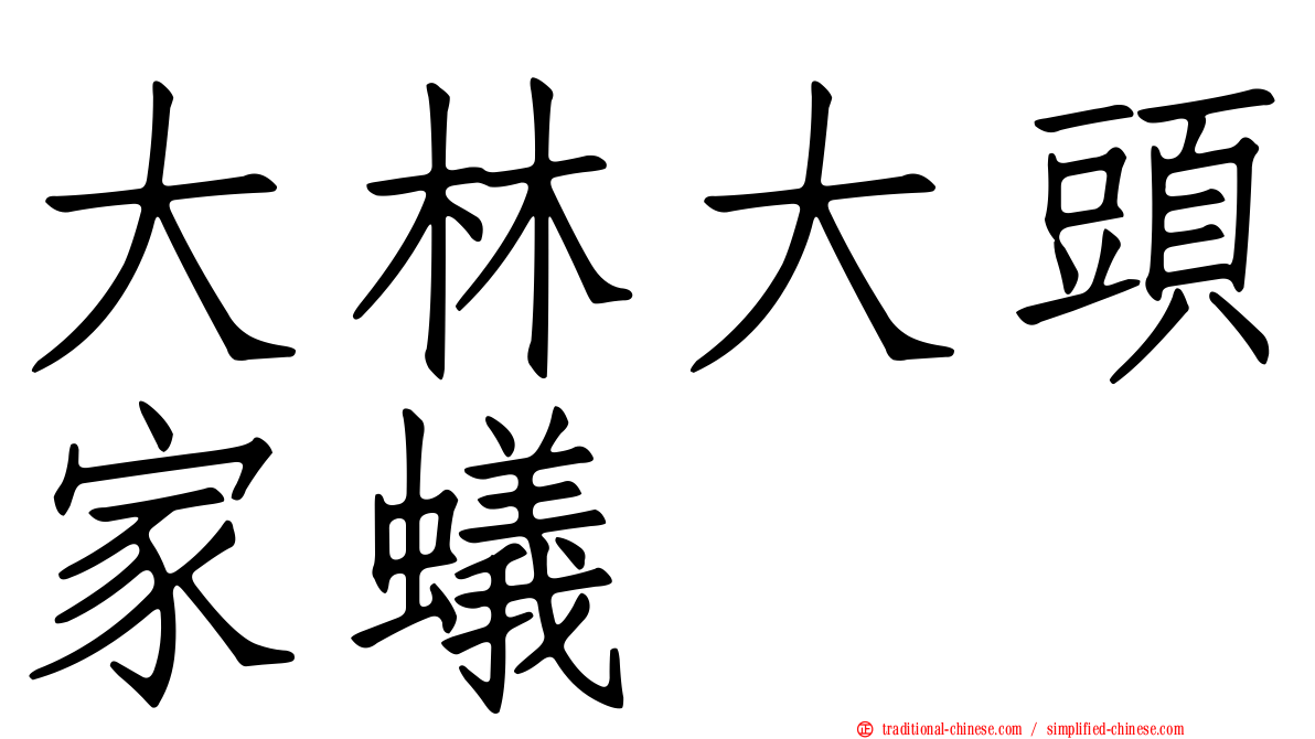 大林大頭家蟻