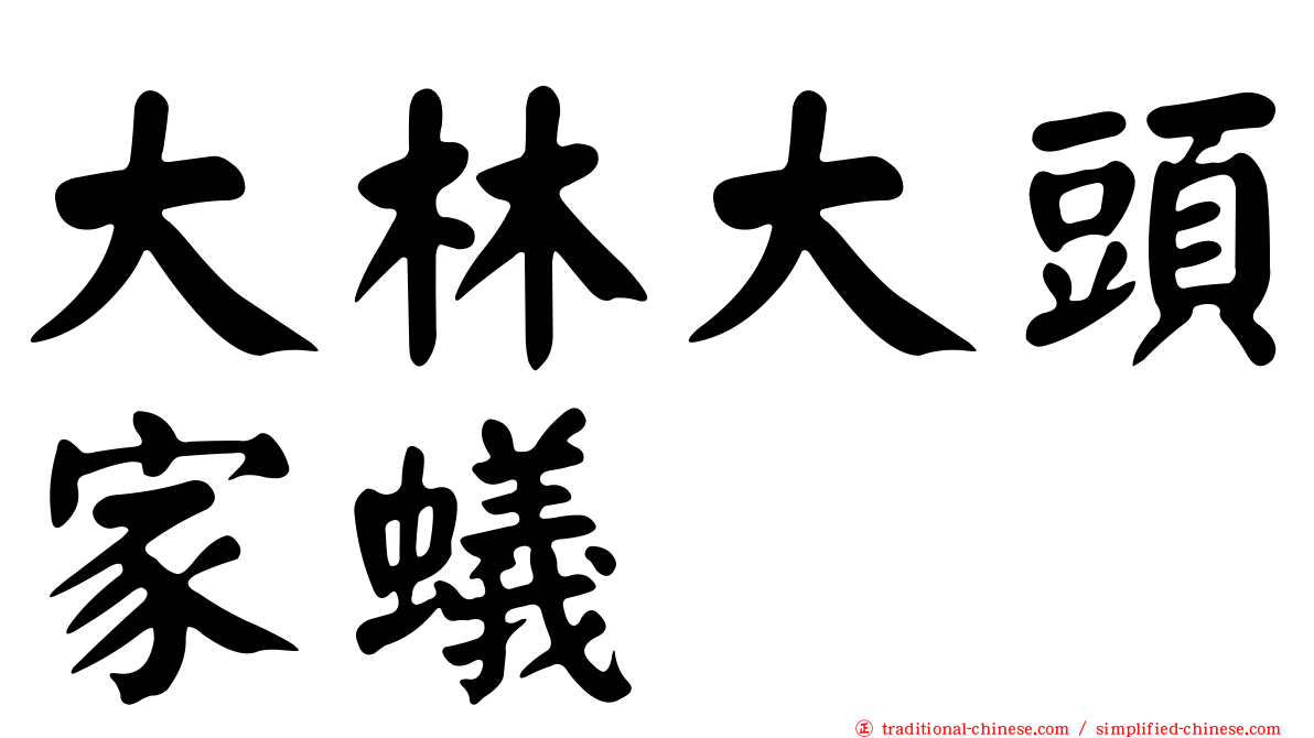 大林大頭家蟻