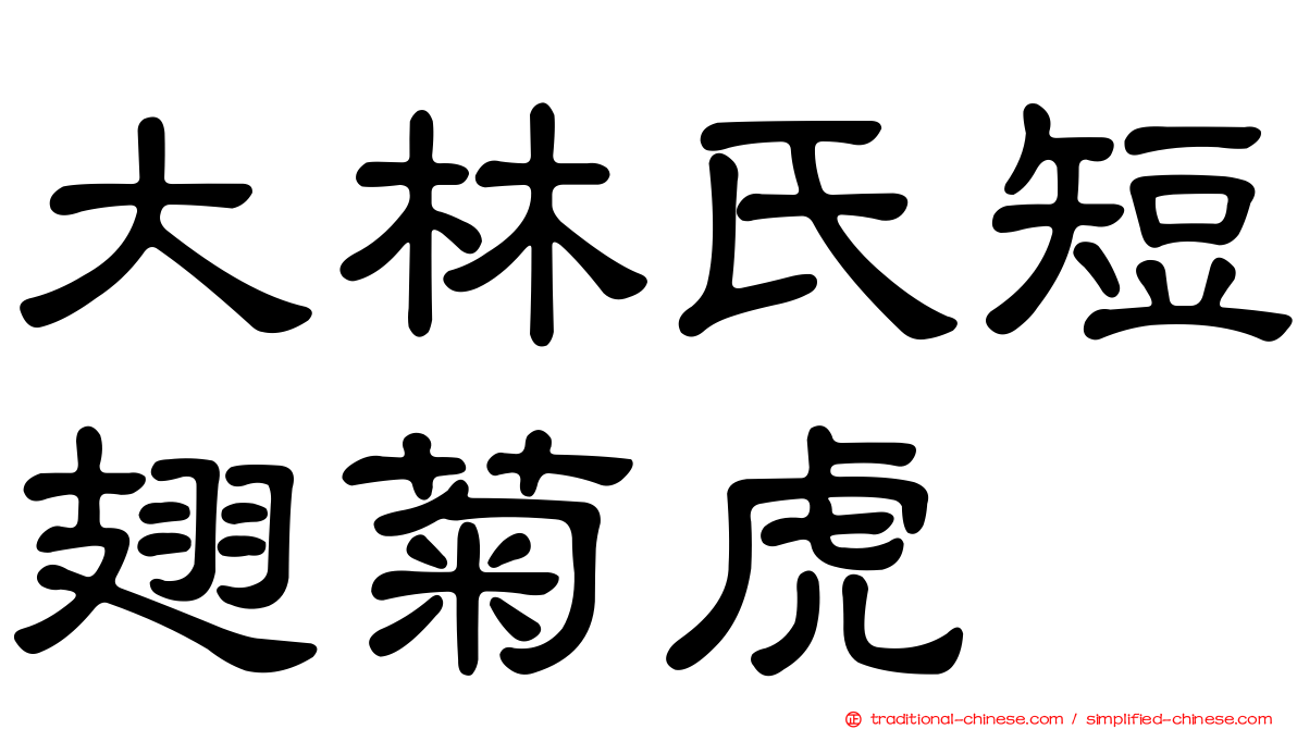 大林氏短翅菊虎