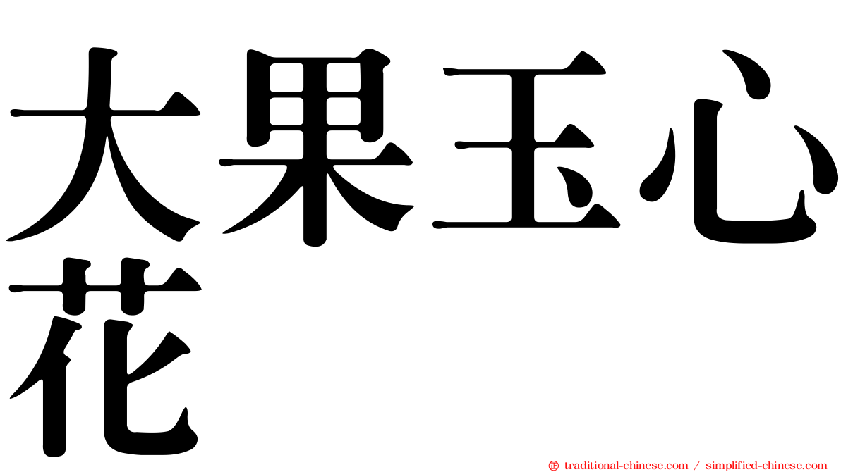 大果玉心花
