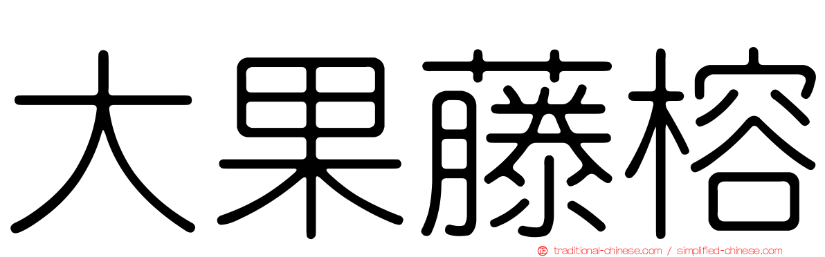 大果藤榕