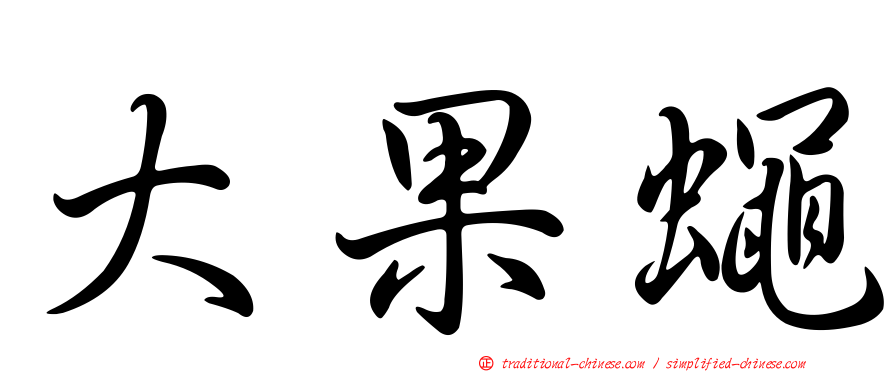 大果蠅