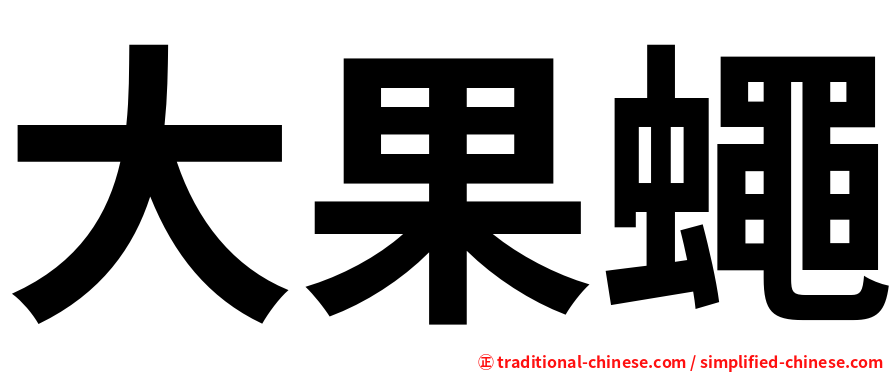 大果蠅