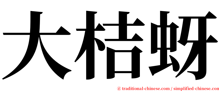 大桔蚜 serif font