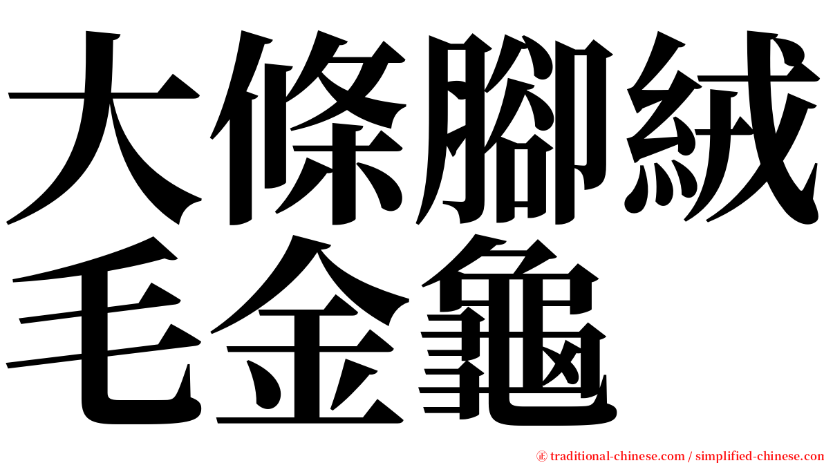 大條腳絨毛金龜 serif font