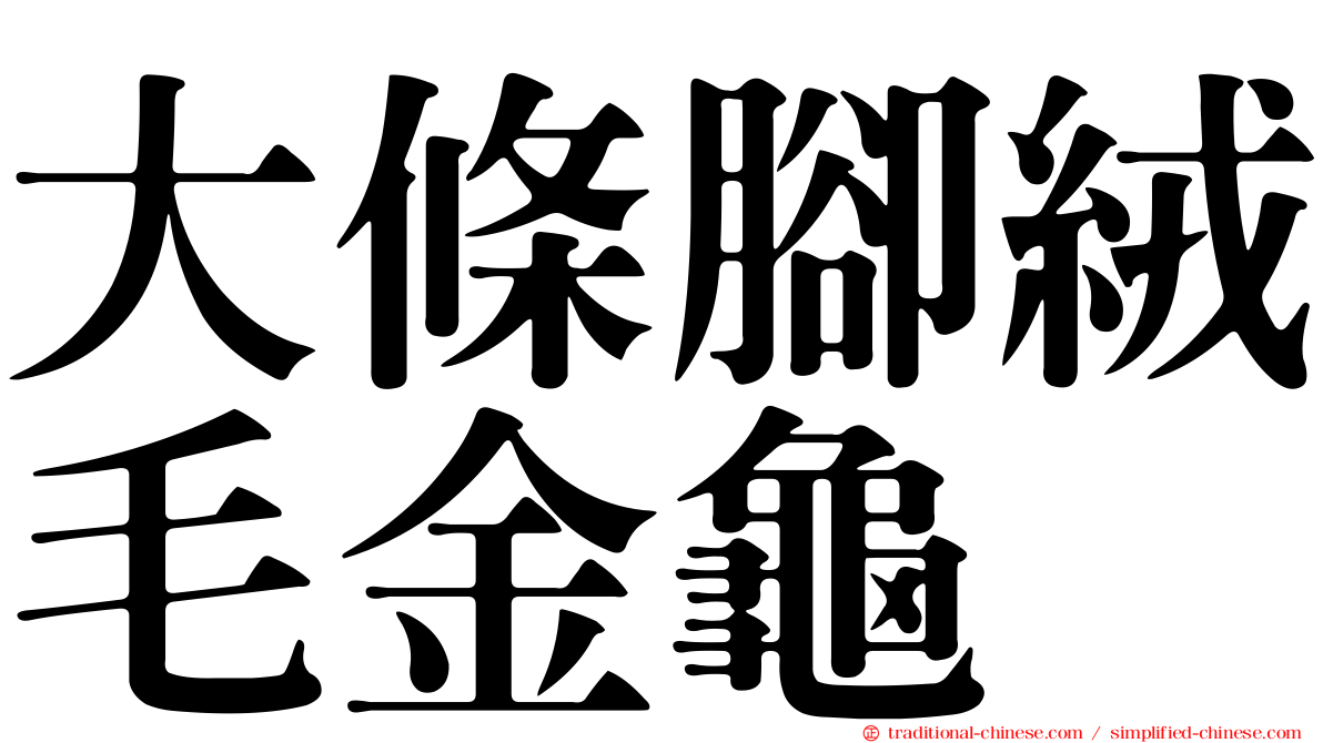 大條腳絨毛金龜