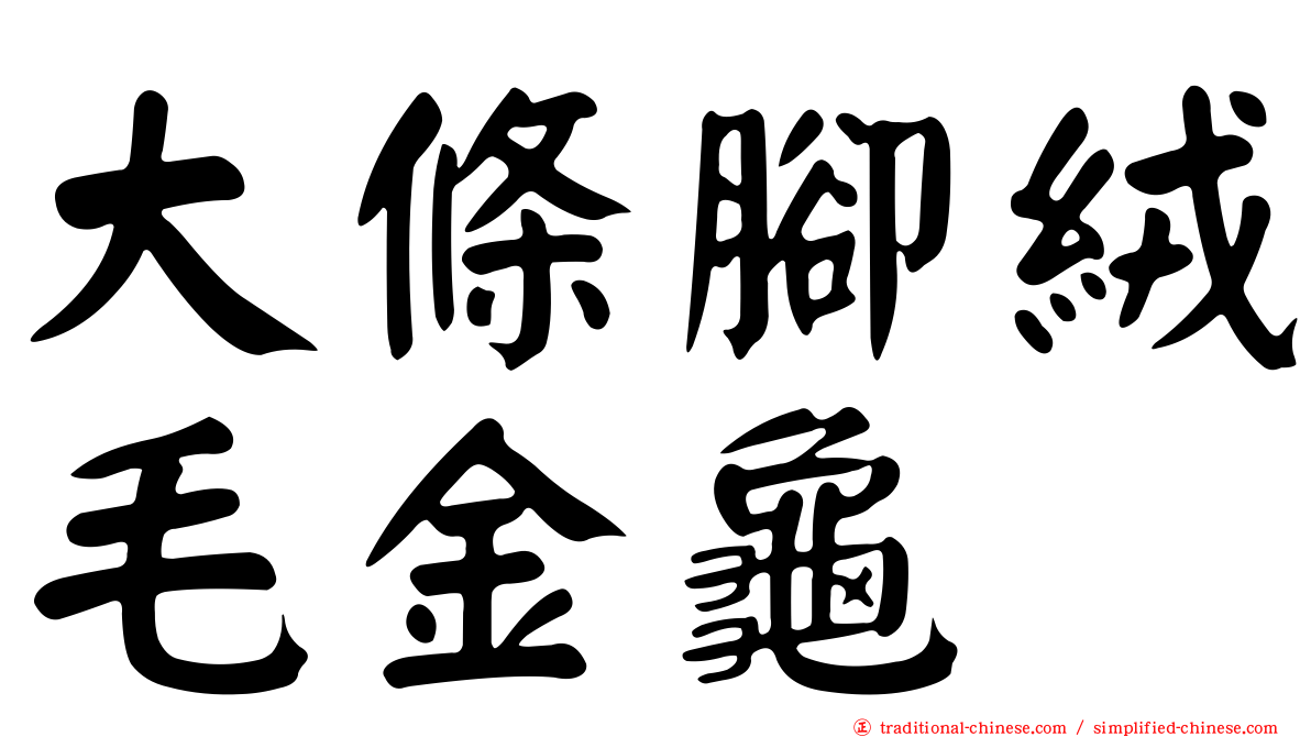 大條腳絨毛金龜