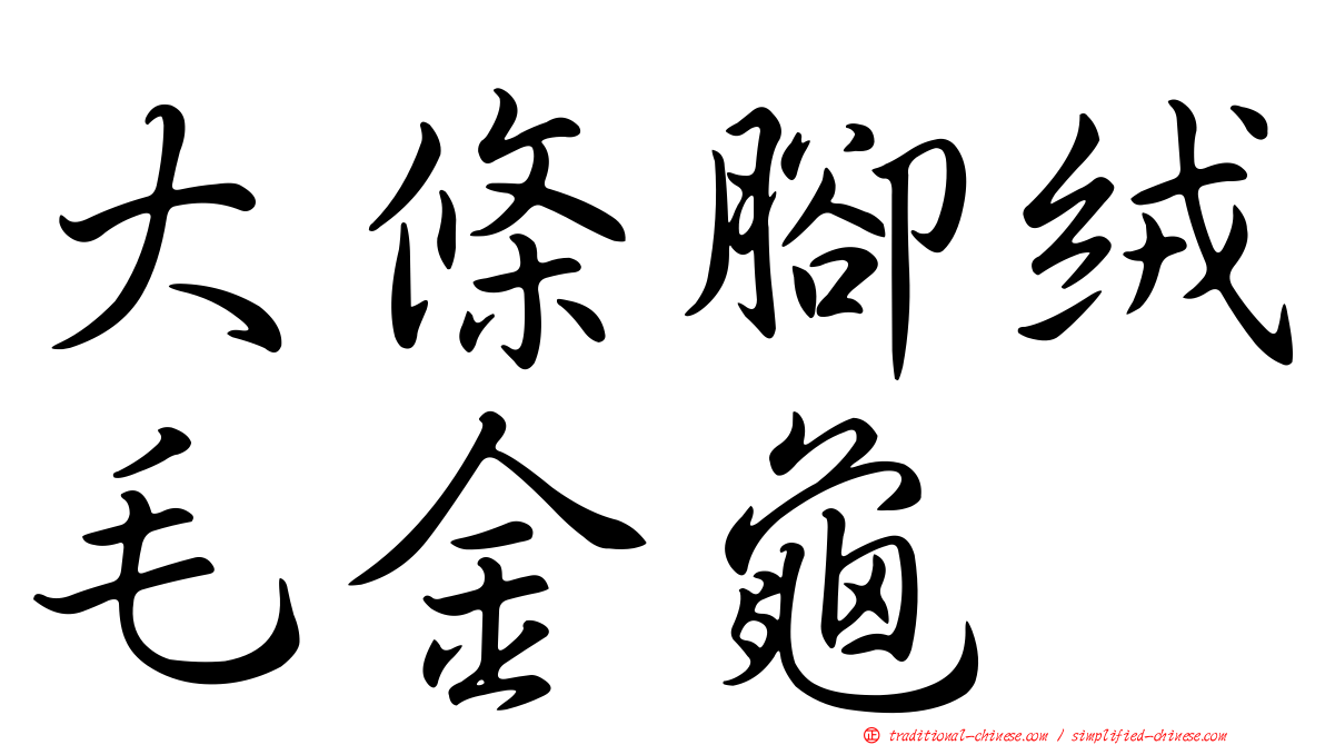 大條腳絨毛金龜