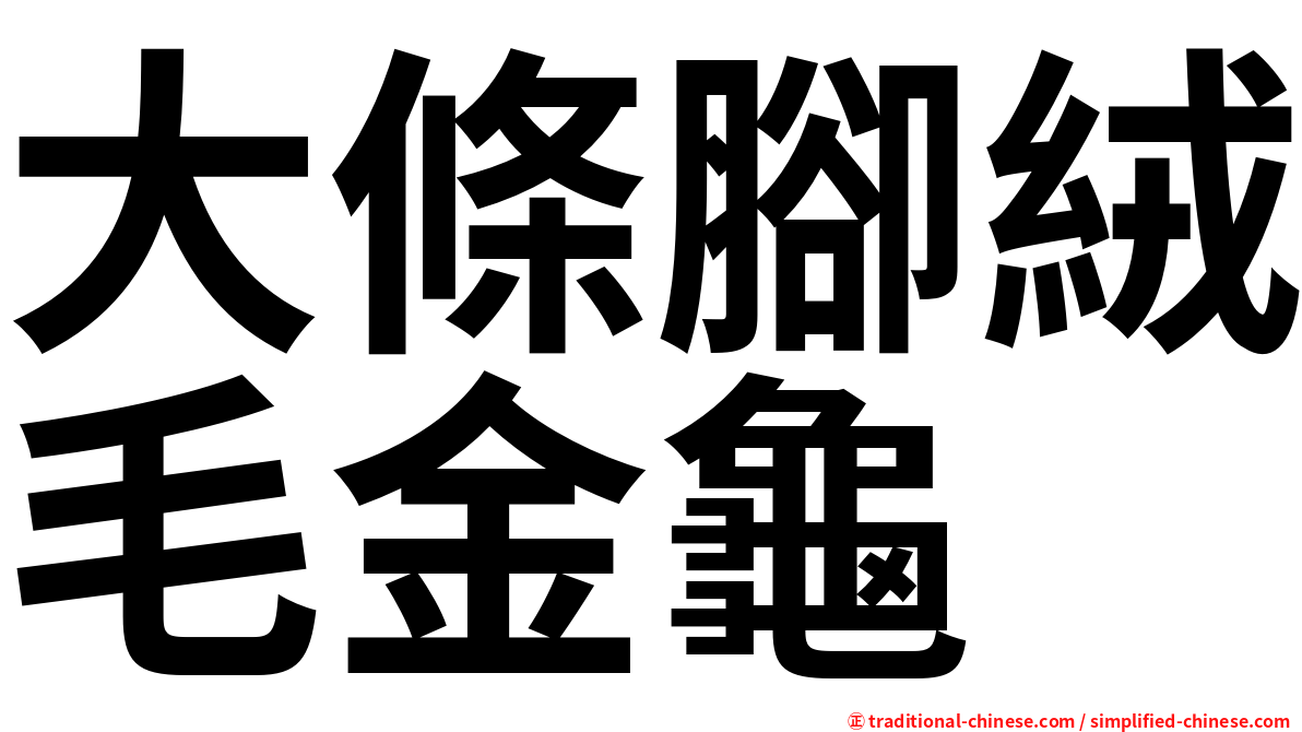 大條腳絨毛金龜