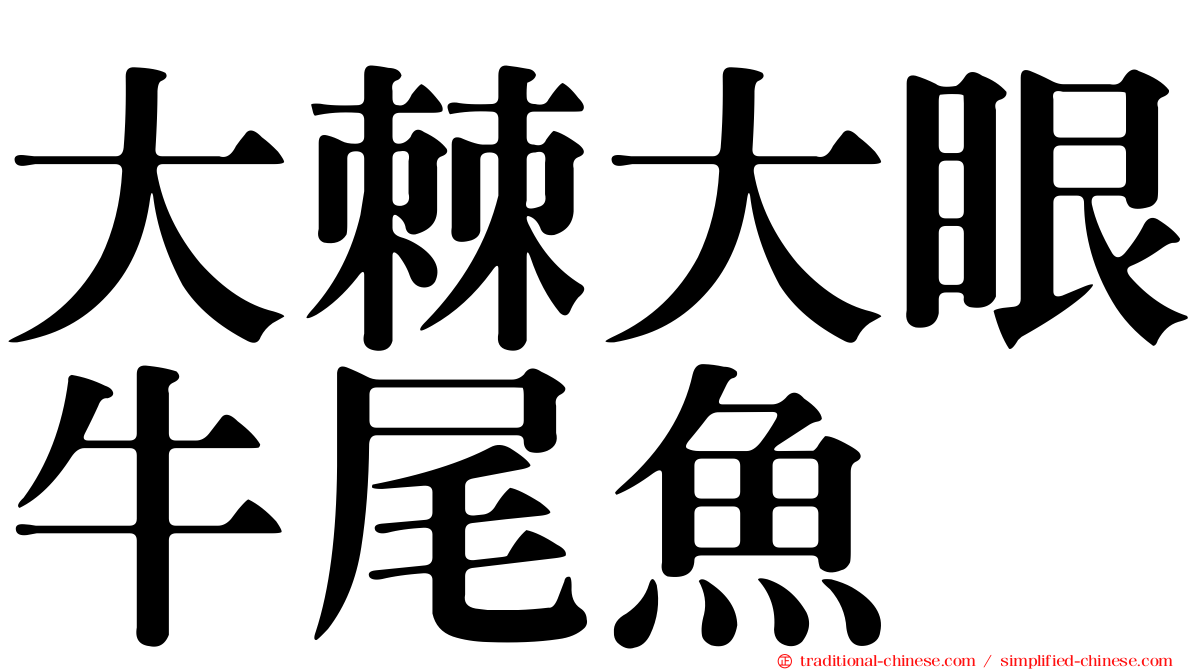 大棘大眼牛尾魚