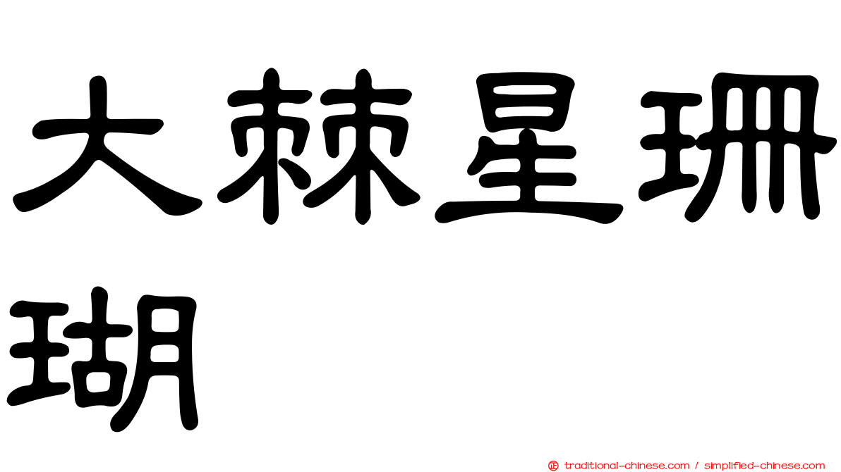大棘星珊瑚