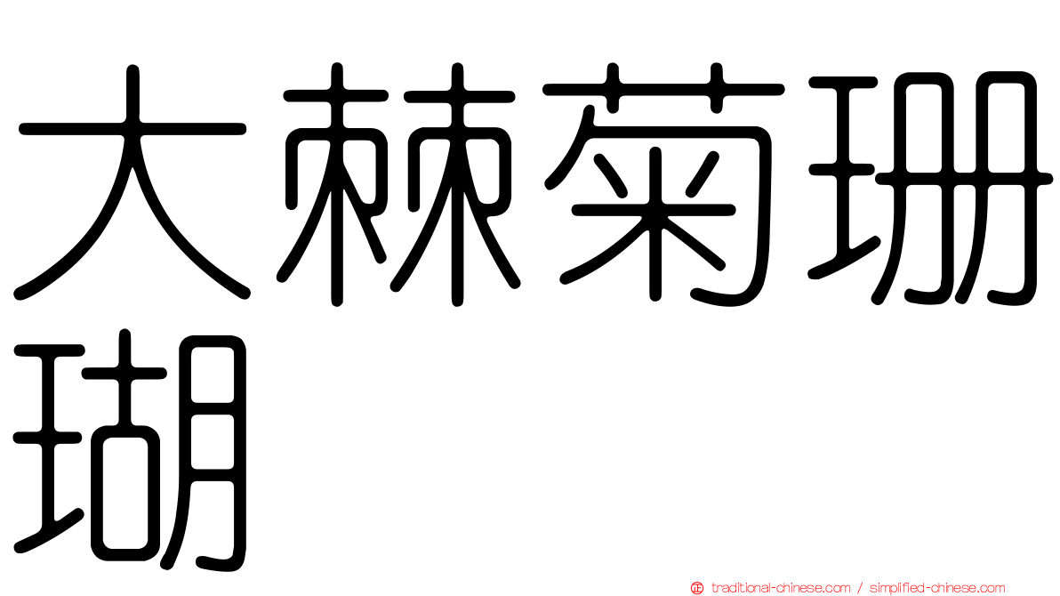 大棘菊珊瑚