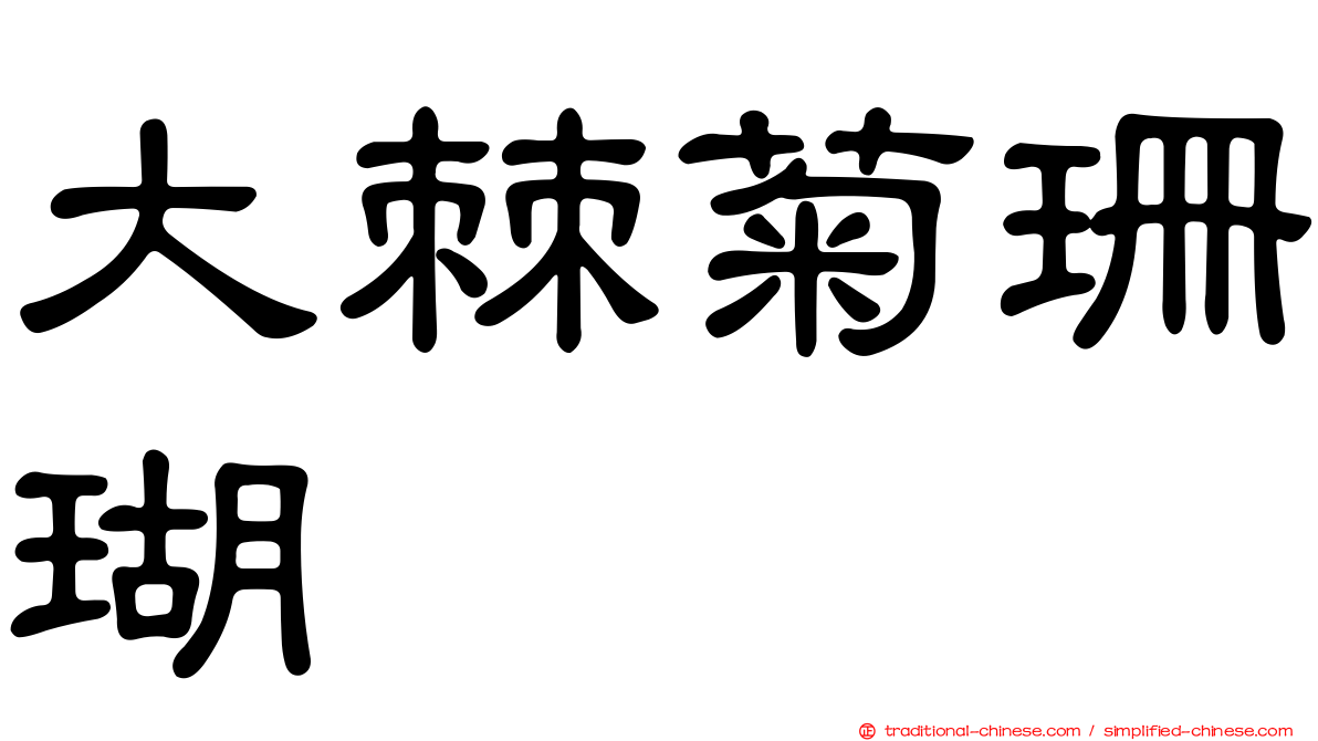 大棘菊珊瑚