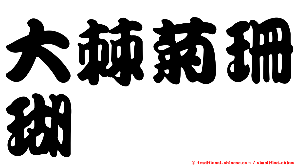 大棘菊珊瑚