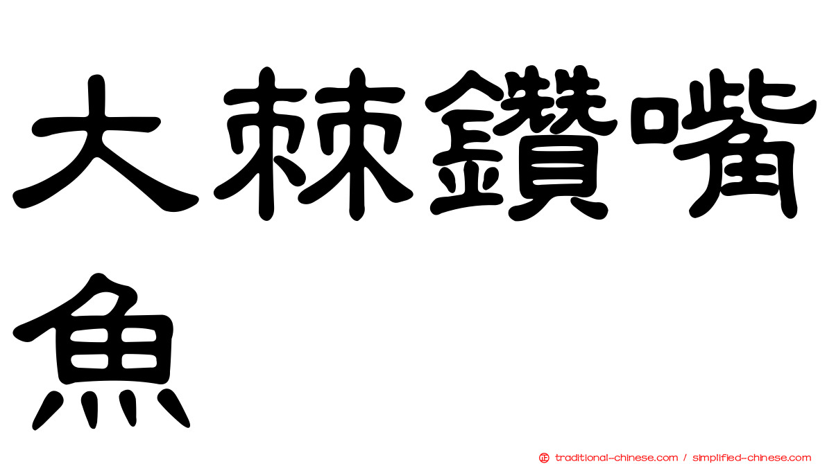 大棘鑽嘴魚