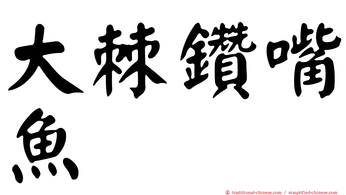 大棘鑽嘴魚