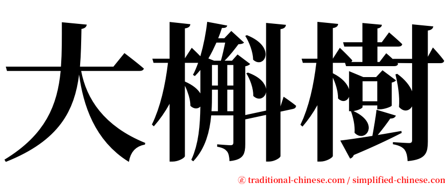 大槲樹 serif font