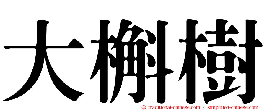 大槲樹