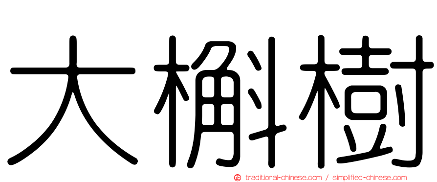 大槲樹