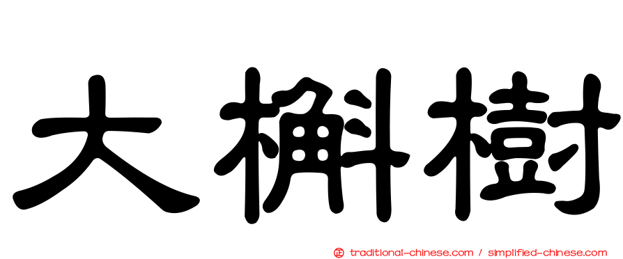 大槲樹