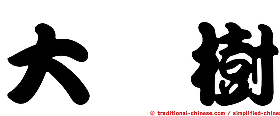 大槲樹