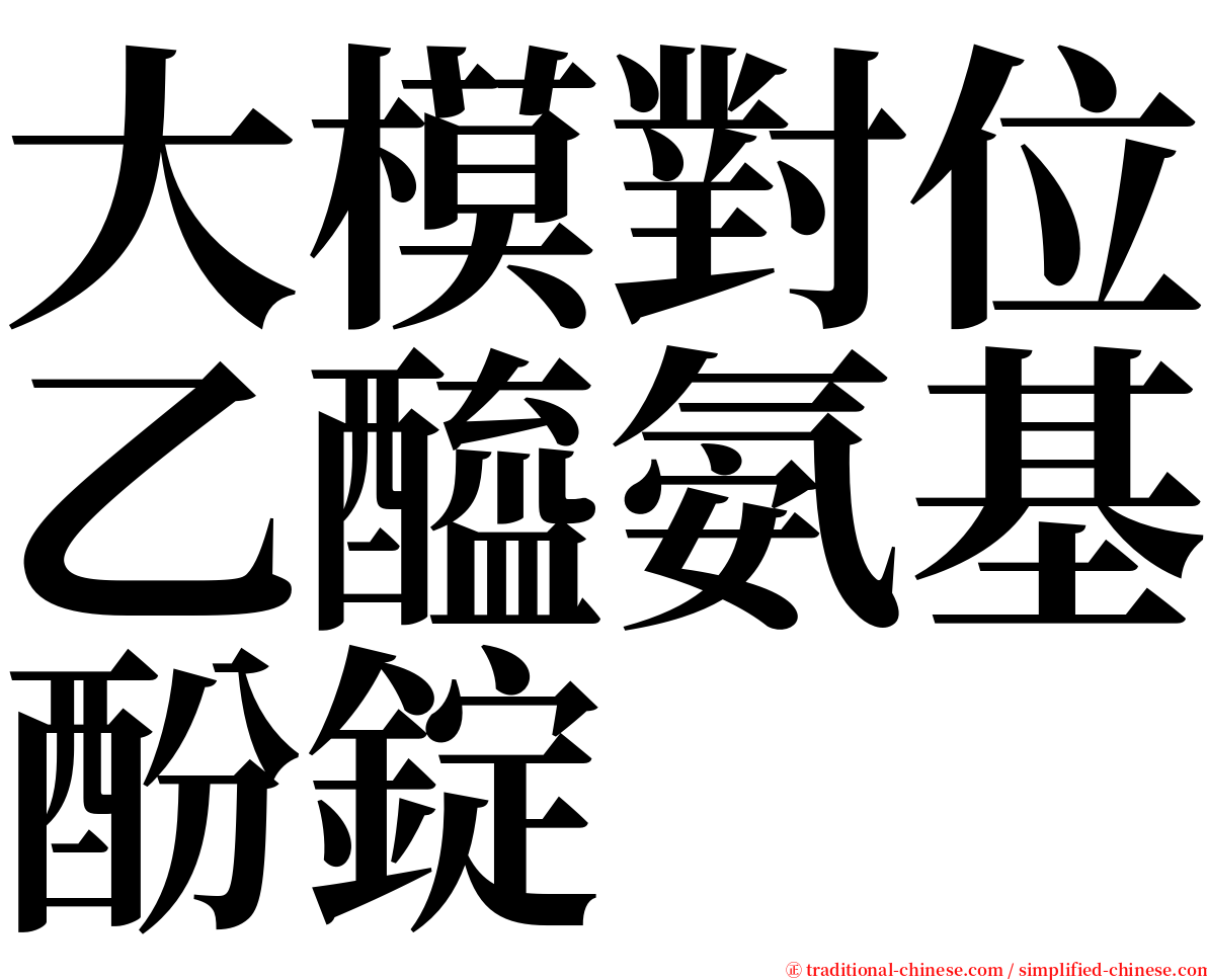 大模對位乙醯氨基酚錠 serif font