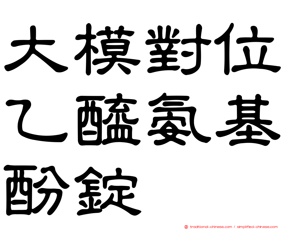 大模對位乙醯氨基酚錠