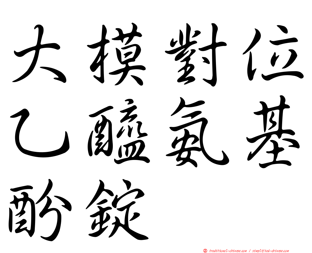 大模對位乙醯氨基酚錠