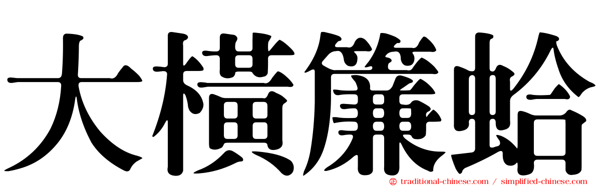 大橫簾蛤