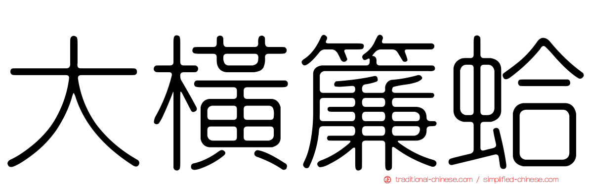 大橫簾蛤