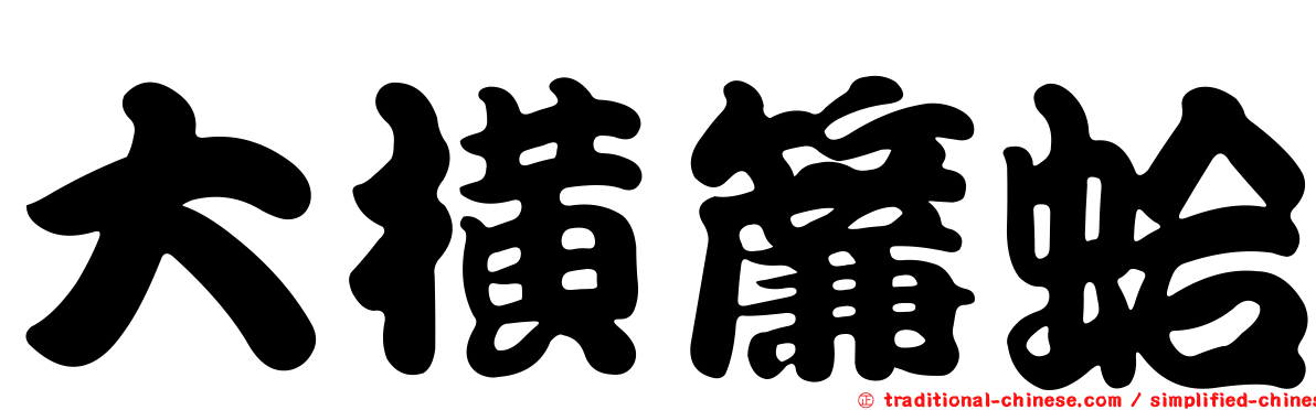 大橫簾蛤